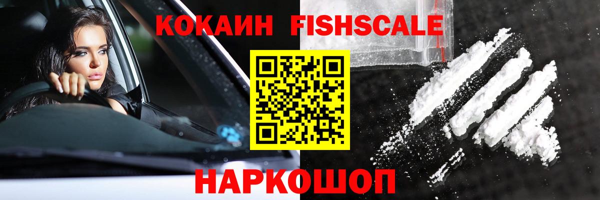 купить наркоту  КОКАИН Fish Scale  Вход с VPN  Отрадное  КОКАИН Эквадор 