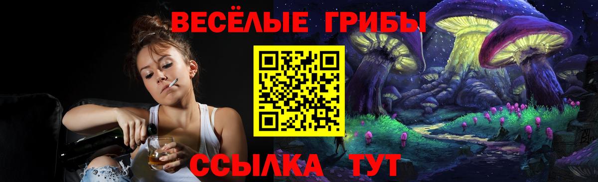 Отрадное  Псилоцибиновые грибы MAGIC MUSHROOMS  Вход с VPN  Псилоцибиновые грибы Magic Shrooms 